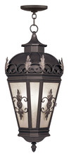 Livex Lighting 2199-07 - 3 Light Bronze Outdoor Chain Lantern
