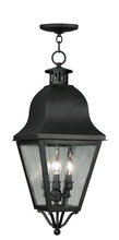 Livex Lighting 2557-04 - 3 Light Black Outdoor Chain Lantern