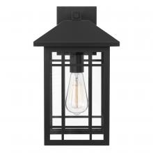 Worldwide Lighting Corp E10020-001 - Timberlake 15 In 1-Light Matte Black Painted Outdoor Wall Sconce Lamp