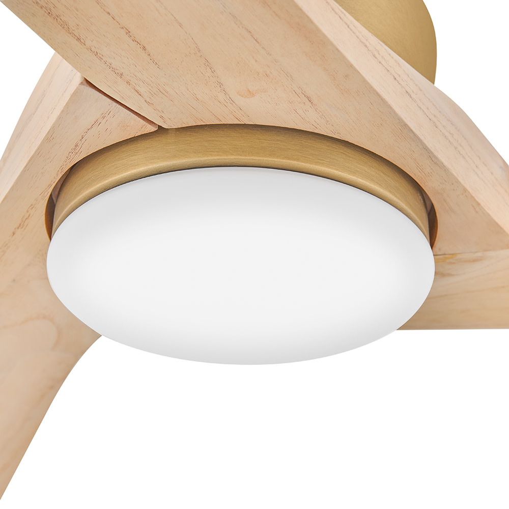 Hinkley Sculpt Ceiling Fan - Thumbnail 4