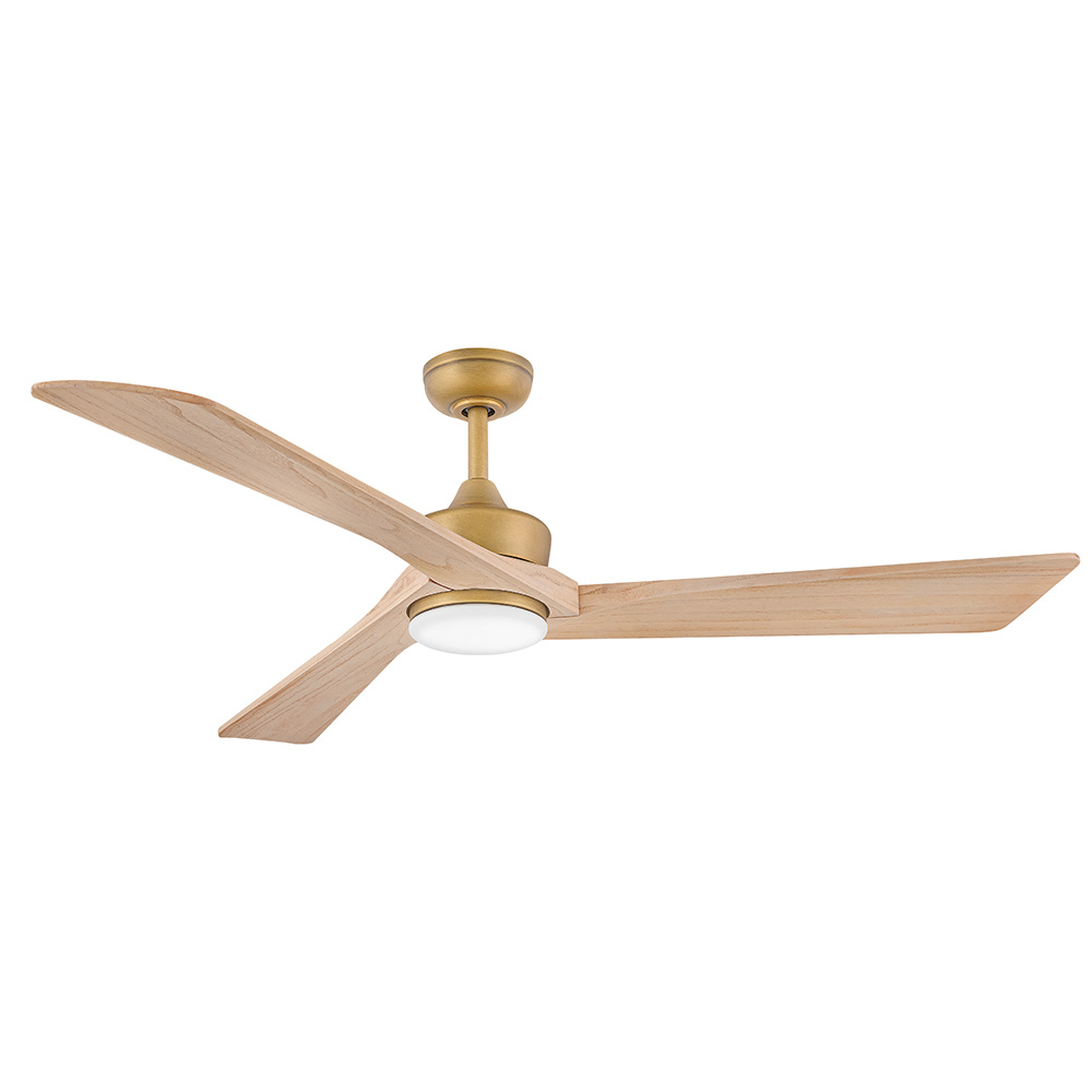 Hinkley Sculpt Ceiling Fan - Thumbnail 3